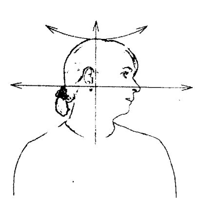 Звук движения головы. Естественное положение головы. Упражнения Белояр для шеи и головы. Поворот головы. Нулевая позиция головы.